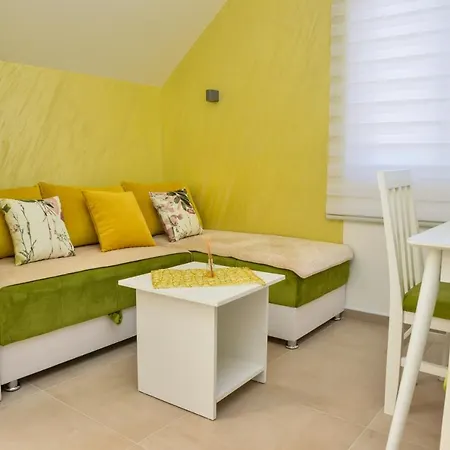 Apartmán Milenkovic Soko Banja