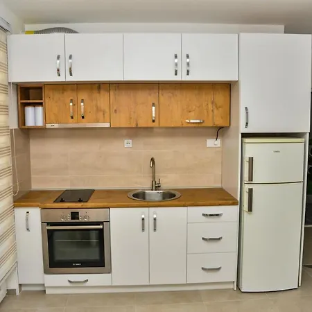 Milenkovic Apartmán Soko Banja