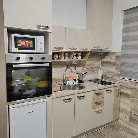 Milenkovic Soko Banja